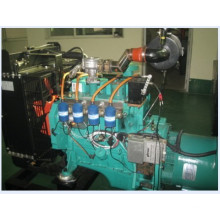 Conjunto de gerador de alto desempenho com o Cummins Engine